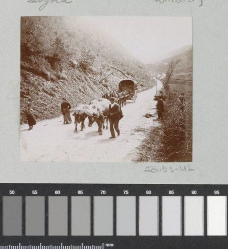 Country road with oxen, cart and peasants, probably in the Spanish Basque Country