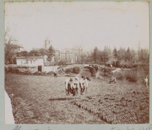 Peasants working in a field in Mungia
