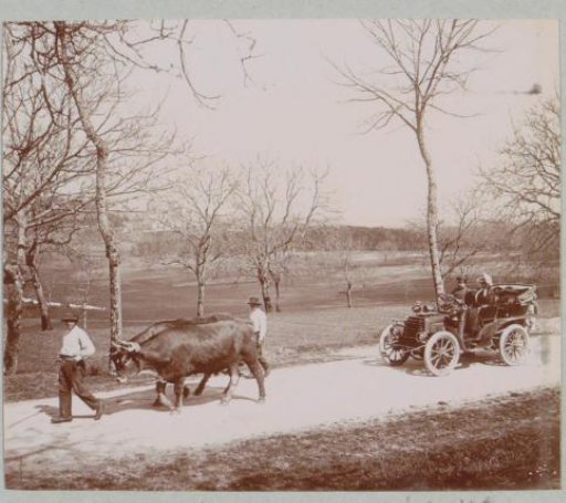 Automobile following oxen on a country road near Hautefort