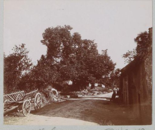 Country road with an old lime tree (Gros Tilleul) and hay wagon in France
