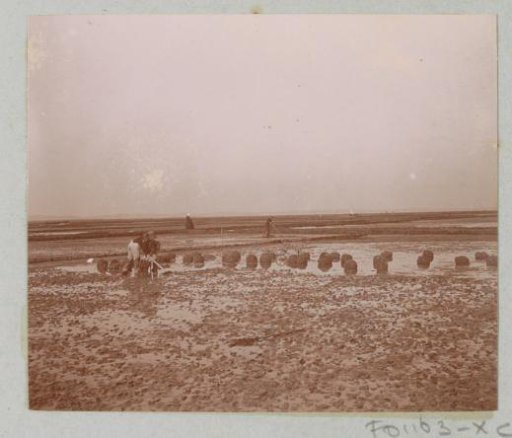 Muddy landscape with workers, possibly a tidal flat in France