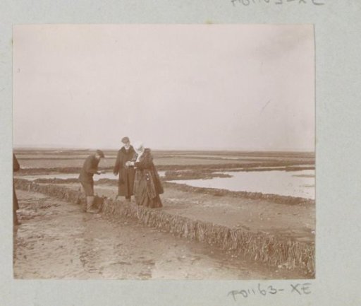 Two men and a woman, possibly tasting something on a tidal flat in France
