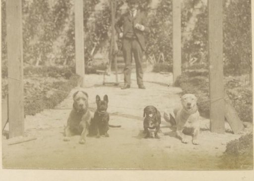 Four dogs and a man on a garden path in France