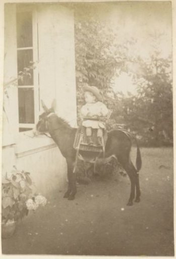 Child sitting on a donkey in front of a house in France
