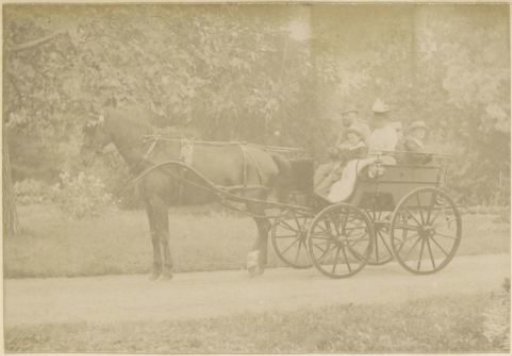 Family in a horse-drawn carriage in France