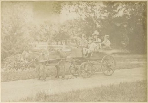Family in a donkey-drawn carriage in France