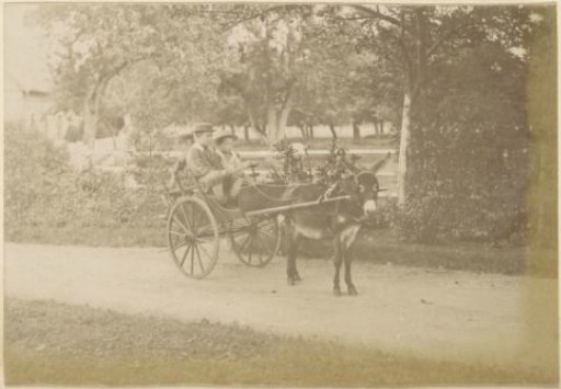 Three children in a donkey-drawn carriage in France