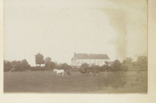 Horses in a meadow in France with a country house in the background