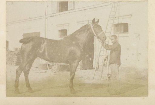 Man holding a horse by the reins at a stable in France