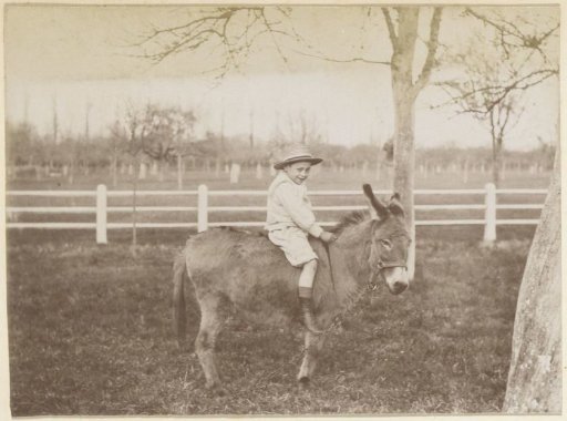 Boy on a donkey in France