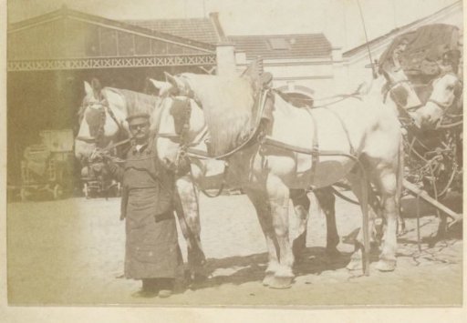 Man holding horses by the reins, possibly on the grounds of the distillery Delizy & Doistau Fils in Pantin