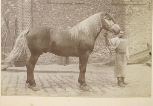 Man holding horses by the reins, possibly on the grounds of the distillery Delizy & Doistau Fils in Pantin