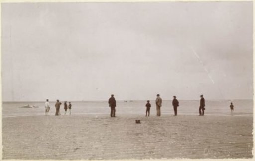 People viewing floating carcass of a dead whale, probably off the French coast