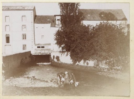 House with a stream beneath it in France, with a woman and a drinking cow in the foreground