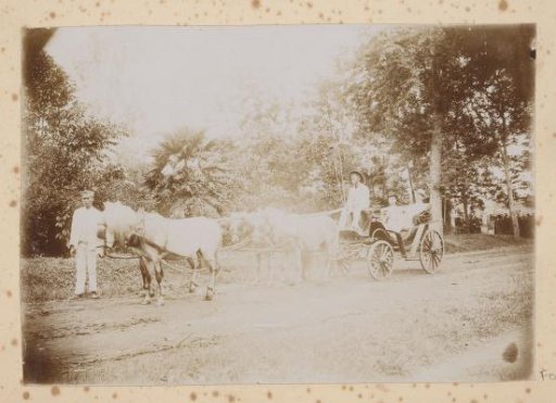 Two men in a horse-drawn cart
