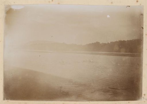 Rowing boats on a river