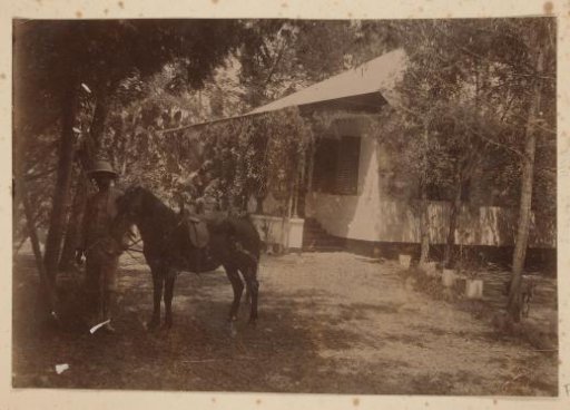 Man with horse in a garden