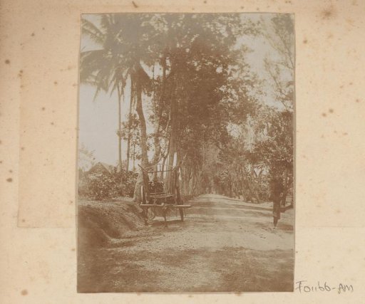 Cart on a road
