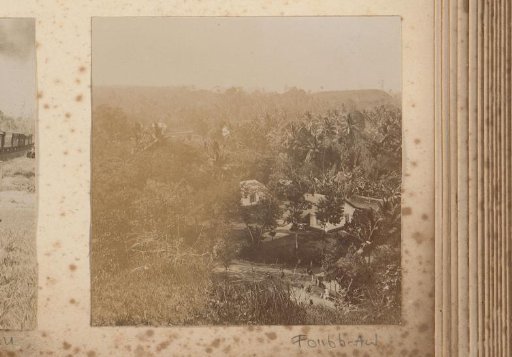 Wooded area with dwellings