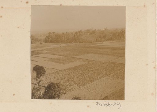 View of agricultural land