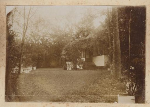 House with garden and pots with plants