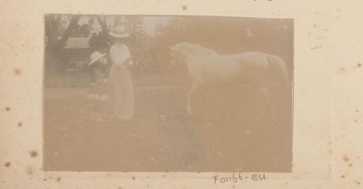 Mother and daughter by a horse in the meadow