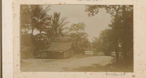 Dwellings among trees