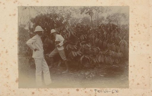 Two Dutch men in tropical costume