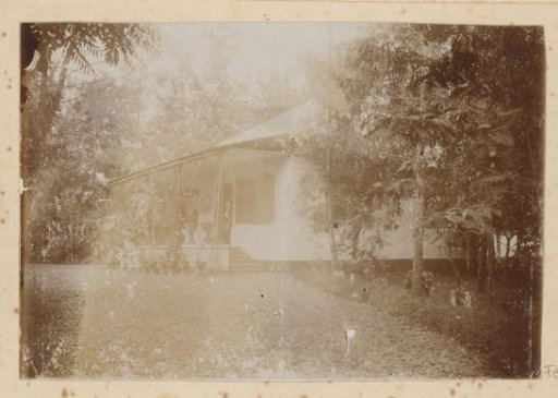 House, viewed from the garden