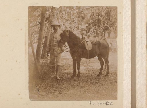 Man with a horse
