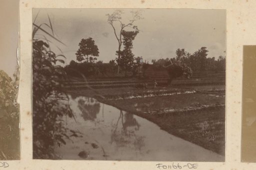 Agricultural land next to water