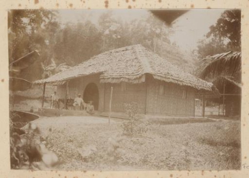 House of woven leaves with a thatched roof