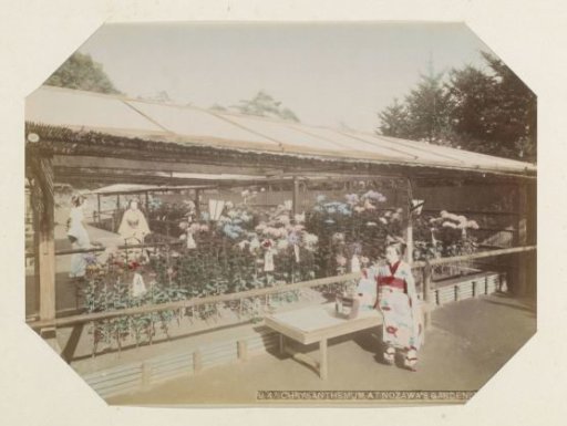Stall with chrysanthemums and saleswoman in the Onzawa Garden in Yokohama