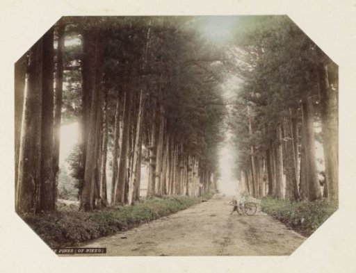 Two Japanese men with a cart in an avenue of pines in Nikko