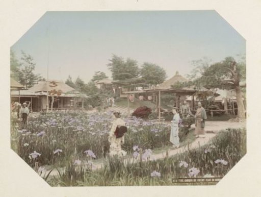 Garden with flowers and visitors in Horikiri near Tokyo