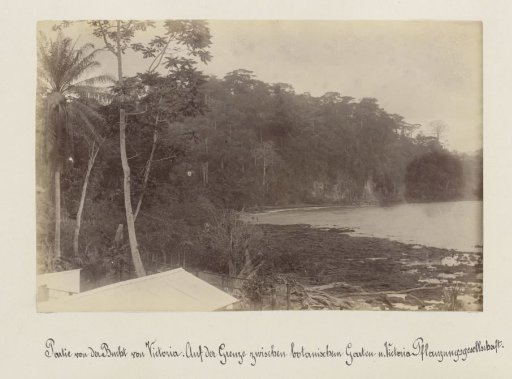 View of a bay near Victoria (Cameroon) on the border of the botanical garden and a plantation