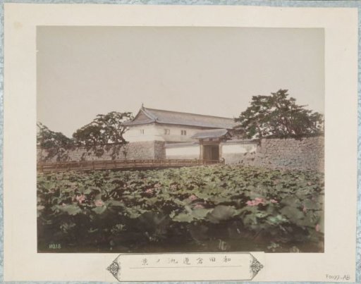 View of the lotus pond near the Wadakura Gate in Edo Castle