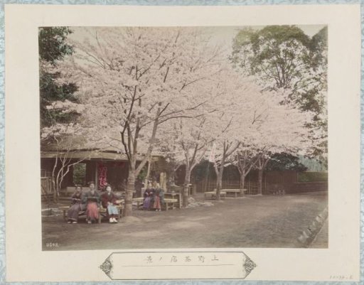 View of the tea houses in Ueno Park in Tokyo