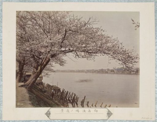 View of a landing place near Mukaijima in Kyoto