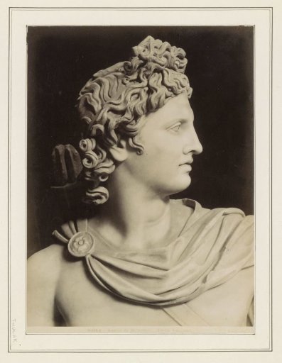 Detail of the Apollo Belvedere