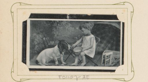 Child on a stool and a dog