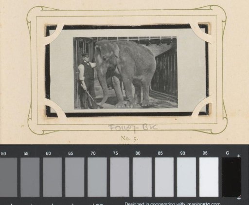 Elephant and keeper