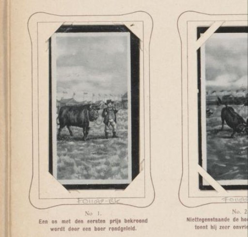Reproduction of a Drawing of a Farmer with a Prize-Winning Ox