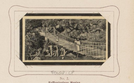 View of a coffee plantation