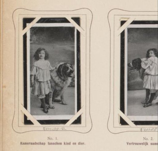 Girl with dog in a photography studio