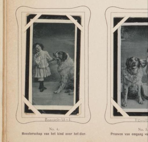 Girl with dog in a photography studio