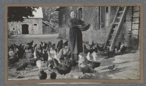 Peasant woman feeding chickens