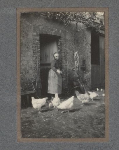 Woman in a doorway feeding chickens