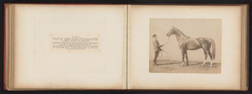 Photographic Reproduction of a Drawing of a Horse, Named St. Gatien, with a Man, by H. Schnaebeli
