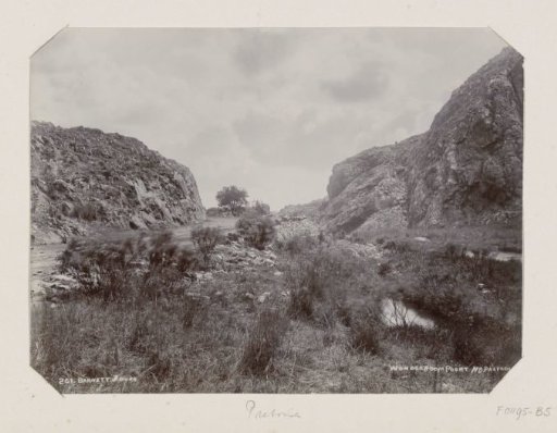Road through a gorge near Wonderboompoort